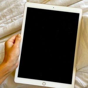 2015 iPad Pro 12.9 inch Rose Gold